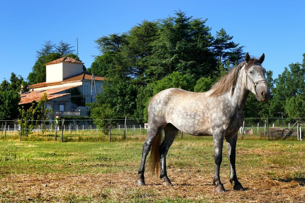 Bed and Breakfast Domaine De Majastre Bauduen Exterior foto